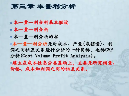 3 本量利分析