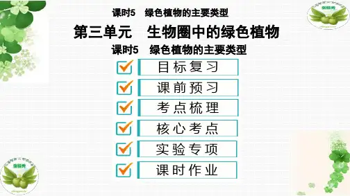 绿色植物的主要类型  