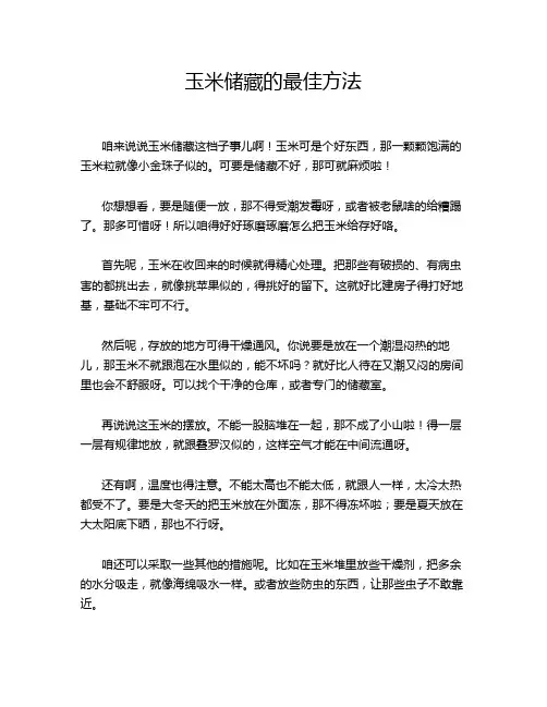 玉米储藏的最佳方法