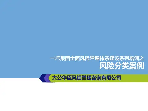 风险分类框架及案例(v4版)