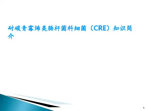 耐碳青霉烯类肠杆菌科细菌(CRE)知识简介 ppt课件