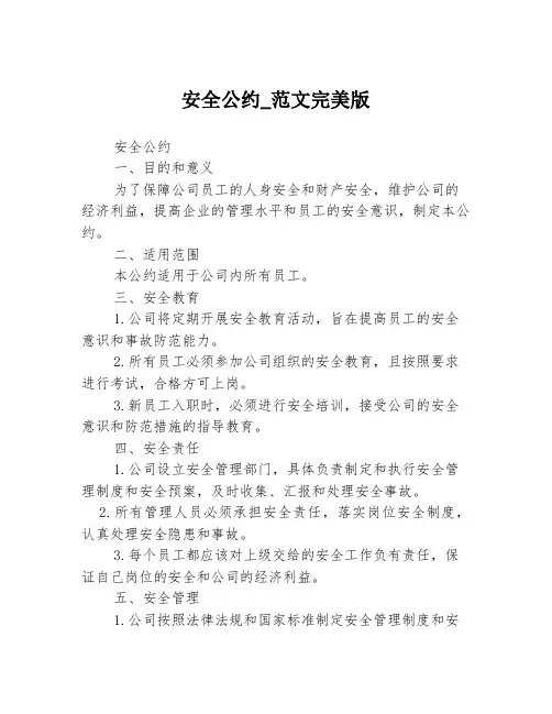 安全公约_范文完美版