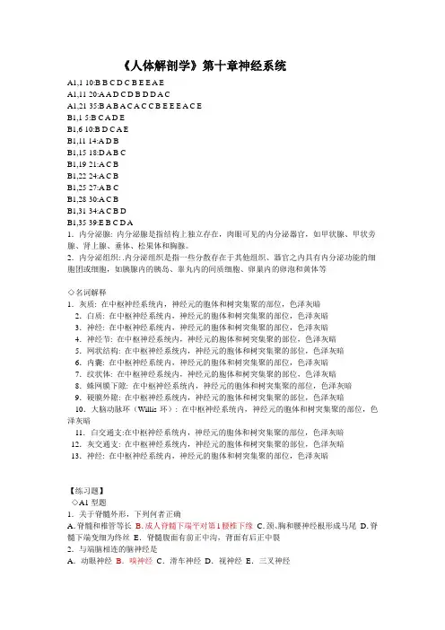 人体解剖学-神经和内分泌系统练习题