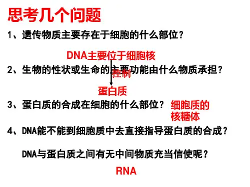 浙科版生物必修二遗传信息的表达