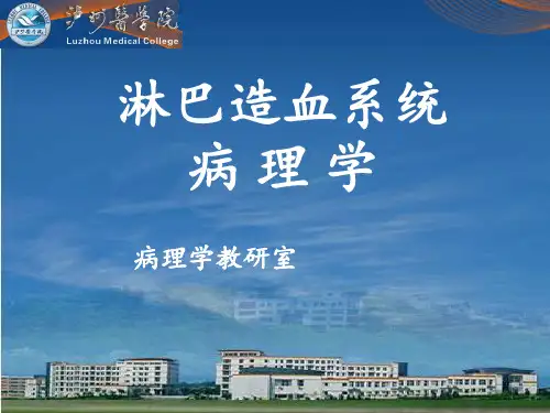 淋巴结病理学1 ppt课件