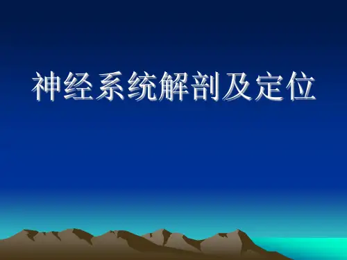 脊神经解剖及定位诊断定位诊断-精品医学课件
