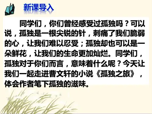 第17课 孤独之旅  课件(共46张PPT) 2024-2025学年统编版语文九年级上册.ppt