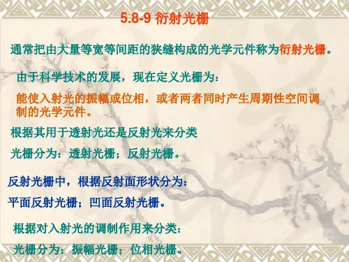 11衍射光栅