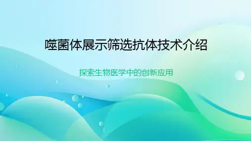 噬菌体展示筛选抗体技术介绍