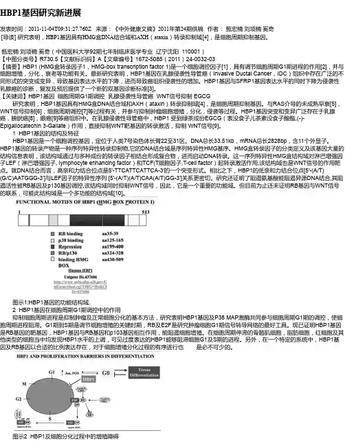 HBP1基因研究新进展