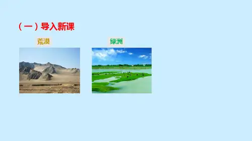第13课《植树的牧羊人》课件(31张PPT) 部编版语文七年级上册