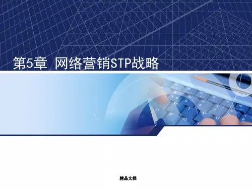第5章-网络营销STP战略