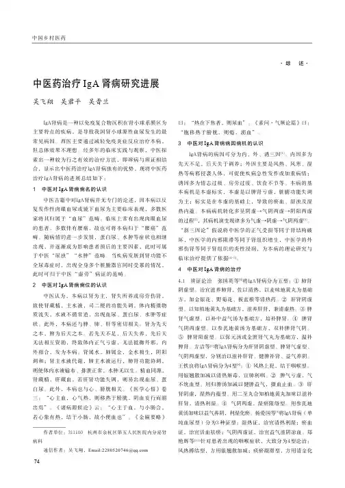 中医药治疗IgA肾病研究进展
