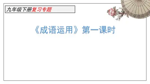九年级下册语文复习专题《成语运用》教学课件PPT