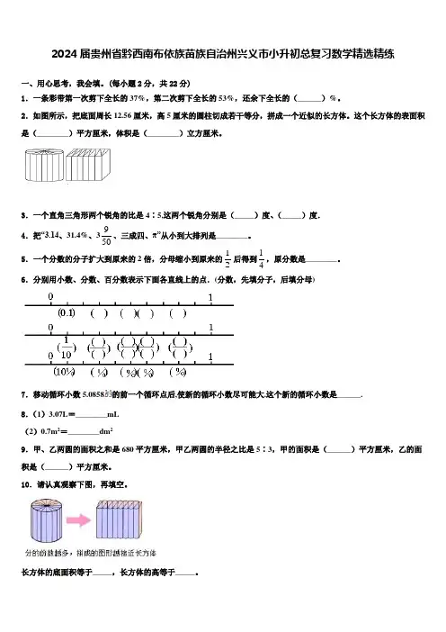 2024届贵州省黔西南布依族苗族自治州兴义市小升初总复习数学精练含解析