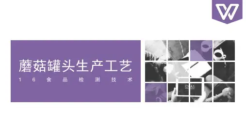 蘑菇罐头的生产工艺流程