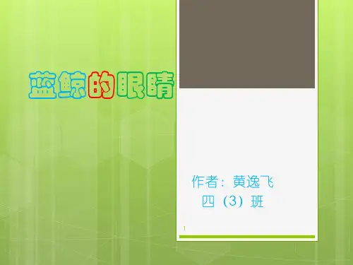 蓝鲸的眼睛ppt课件