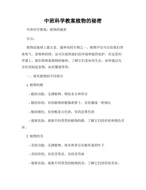 中班科学教案植物的秘密