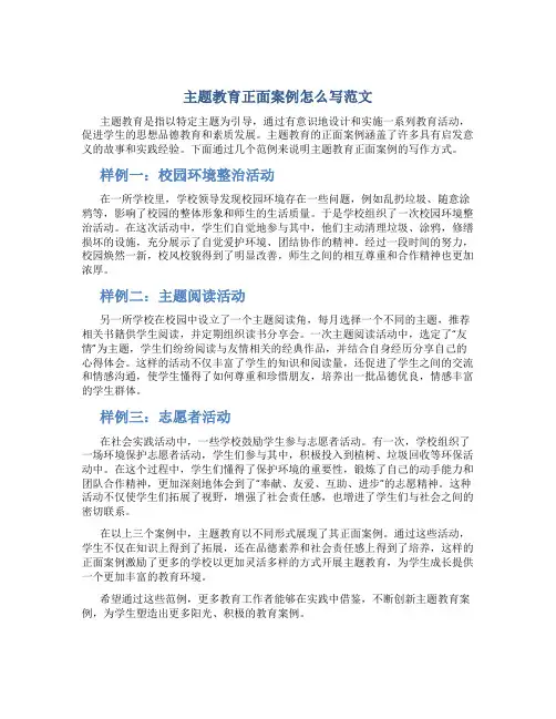 主题教育正面案例怎么写范文