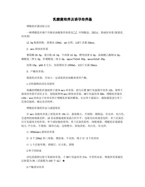 乳酸菌培养及诱导培养基