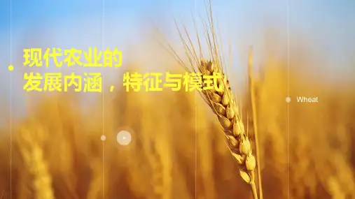 现代农业的发展内涵,特征与模式