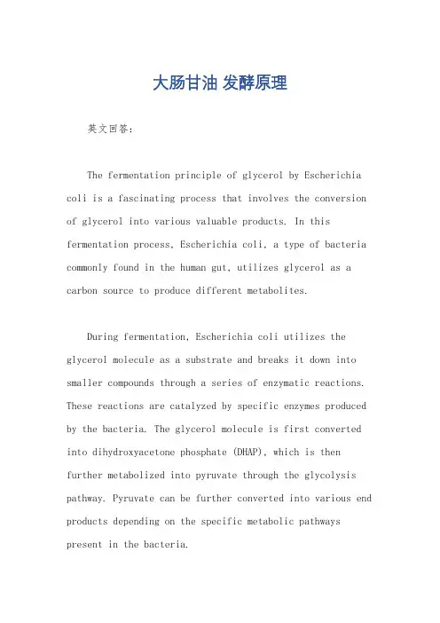 大肠甘油 发酵原理
