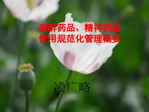 麻醉药品、精神药品使用管理培训课件