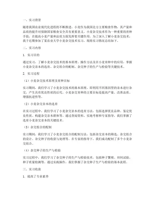小麦杂交技术实习报告