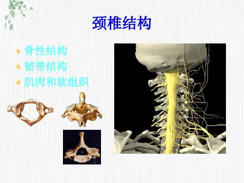 颈椎病康复课程下载.ppt