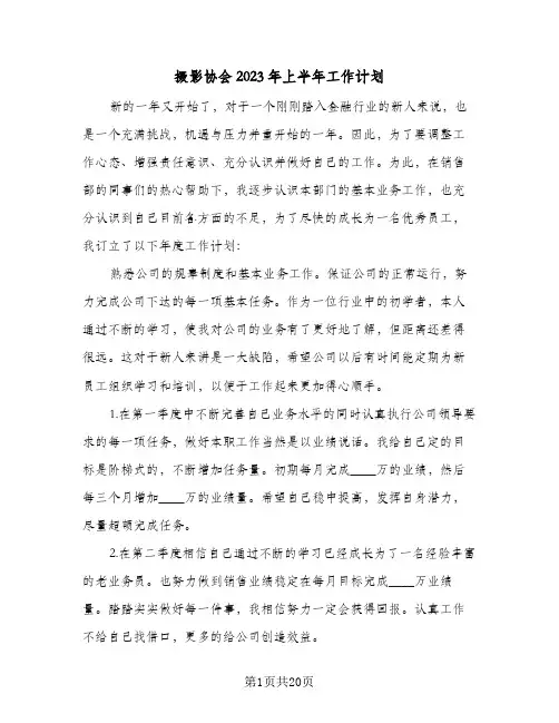 摄影协会2023年上半年工作计划(6篇)