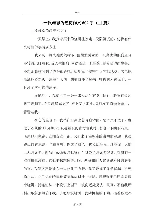 一次难忘的经历作文600字(11篇)