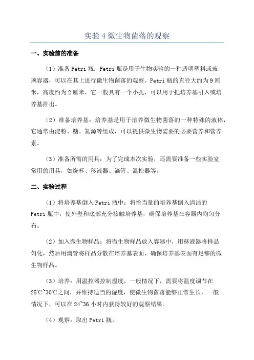 实验4微生物菌落的观察
