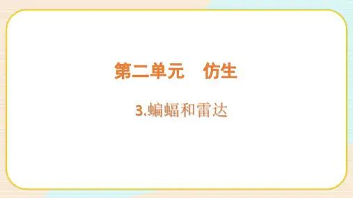 新苏教版五下科学2-3《蝙蝠和雷达》精品课件