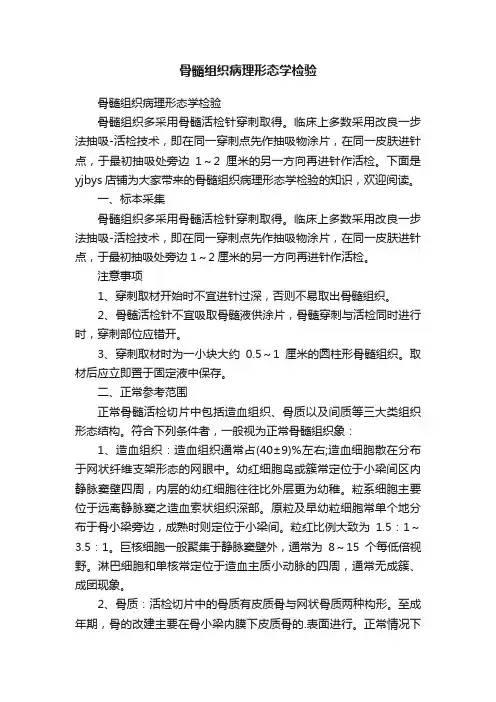 骨髓组织病理形态学检验