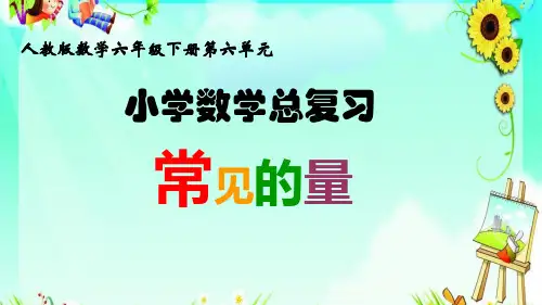 原创精品新人教版六年级下册数学 常见的量