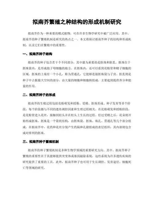 拟南芥繁殖之种结构的形成机制研究