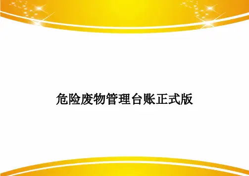 危险废物管理台账正式版