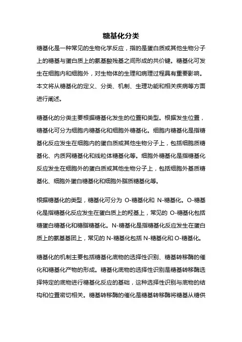 糖基化分类