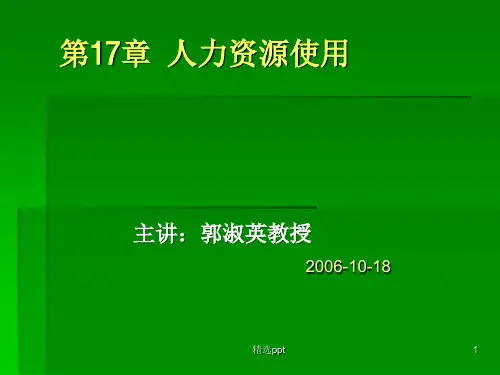 《人力资源使用》PPT课件