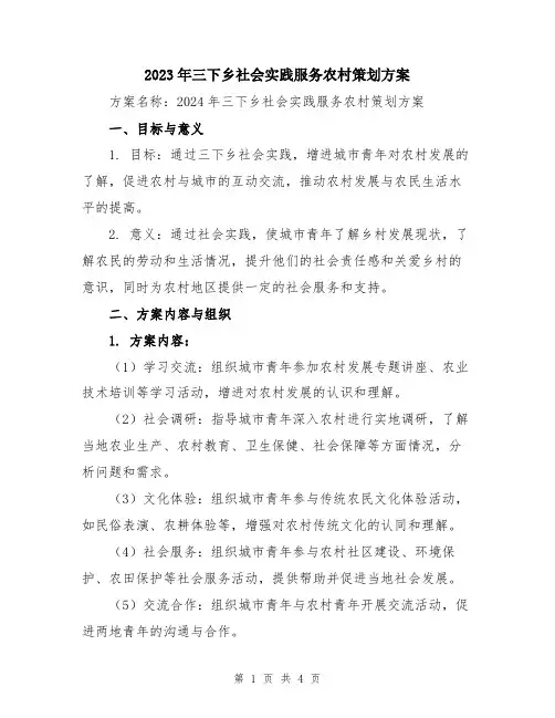 2023年三下乡社会实践服务农村策划方案