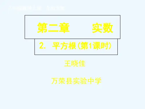 北师大版初二数学上册2.2平方根(第一课时)