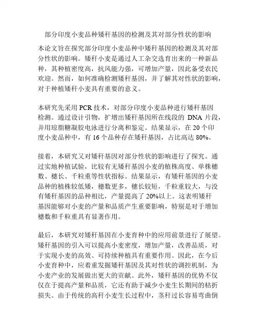 部分印度小麦品种矮秆基因的检测及其对部分性状的影响