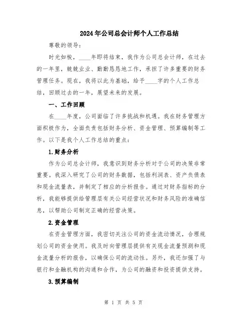 2024年公司总会计师个人工作总结