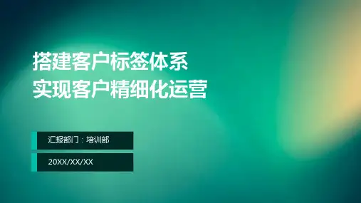 32页专业完整企业管理搭建客户标签体系实现客户精细化运营培训课件