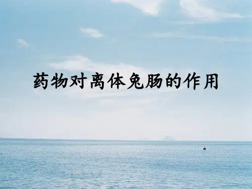 药理学实验：药物对离体兔肠的作用