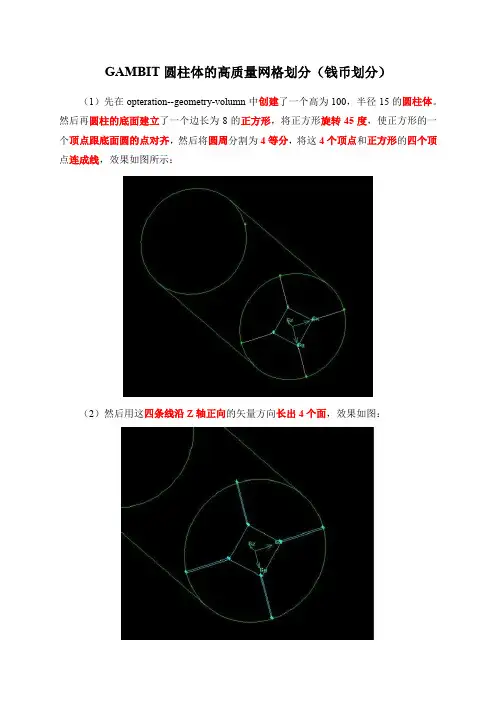Gambit中钱币网格的划分方法