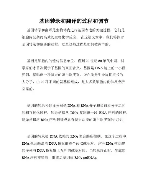 基因转录和翻译的过程和调节