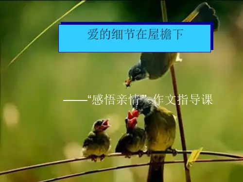 高中作文   爱的细节在屋檐下——“感悟亲情”作文指导课精品课件