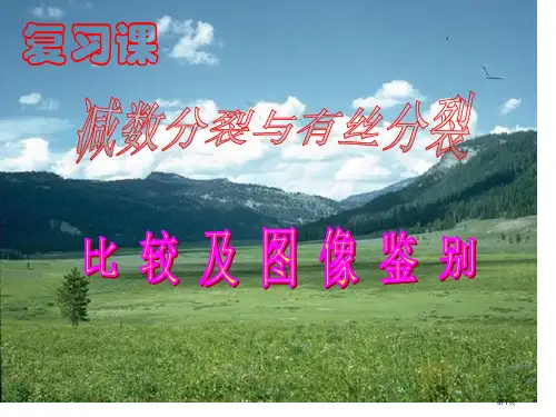 减数分裂图解市公开课一等奖省赛课微课金奖课件