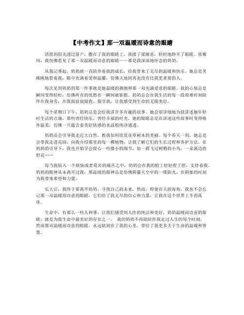【中考作文】那一双温暖而诗意的眼睛